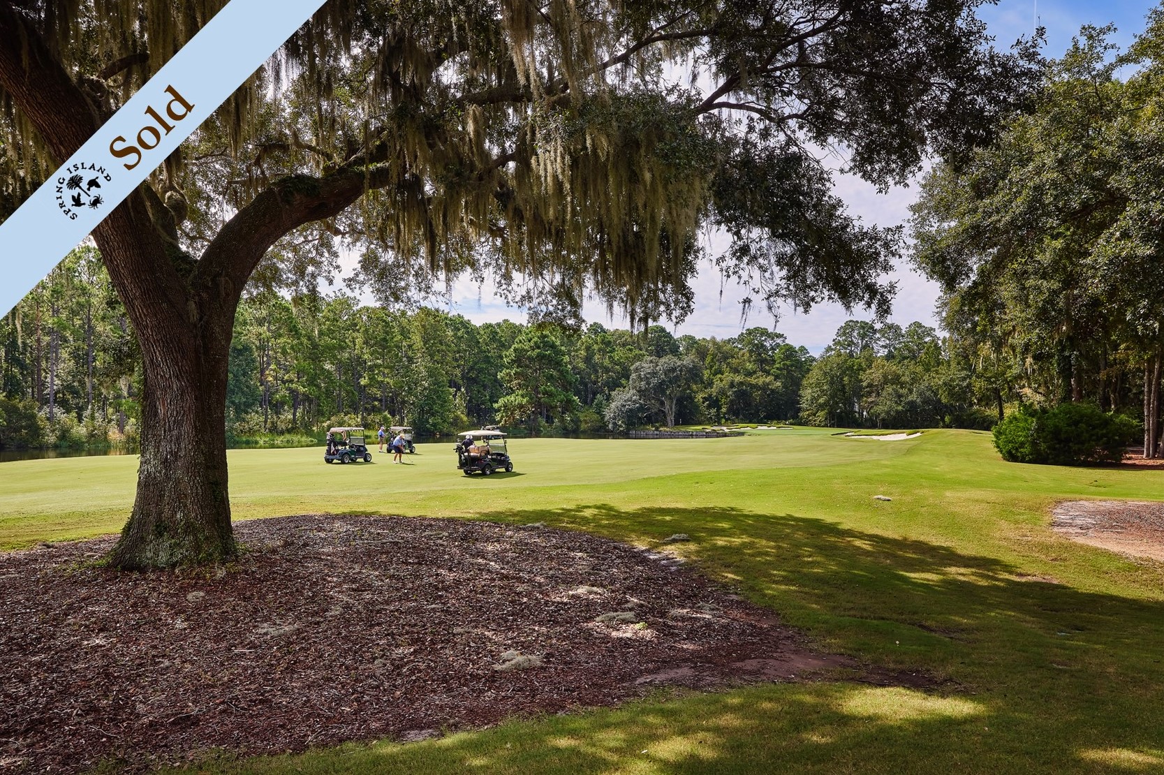 24 Bee Tree Drive; Okatie SC 29909 Spring Island Realty